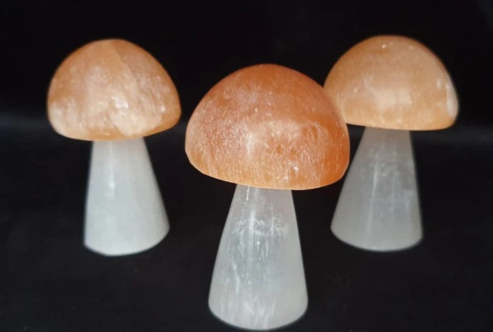 Peach Top Selenite Mushrooms