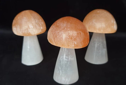 Peach Top Selenite Mushrooms