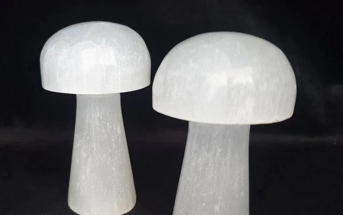 Selenite Mushrooms