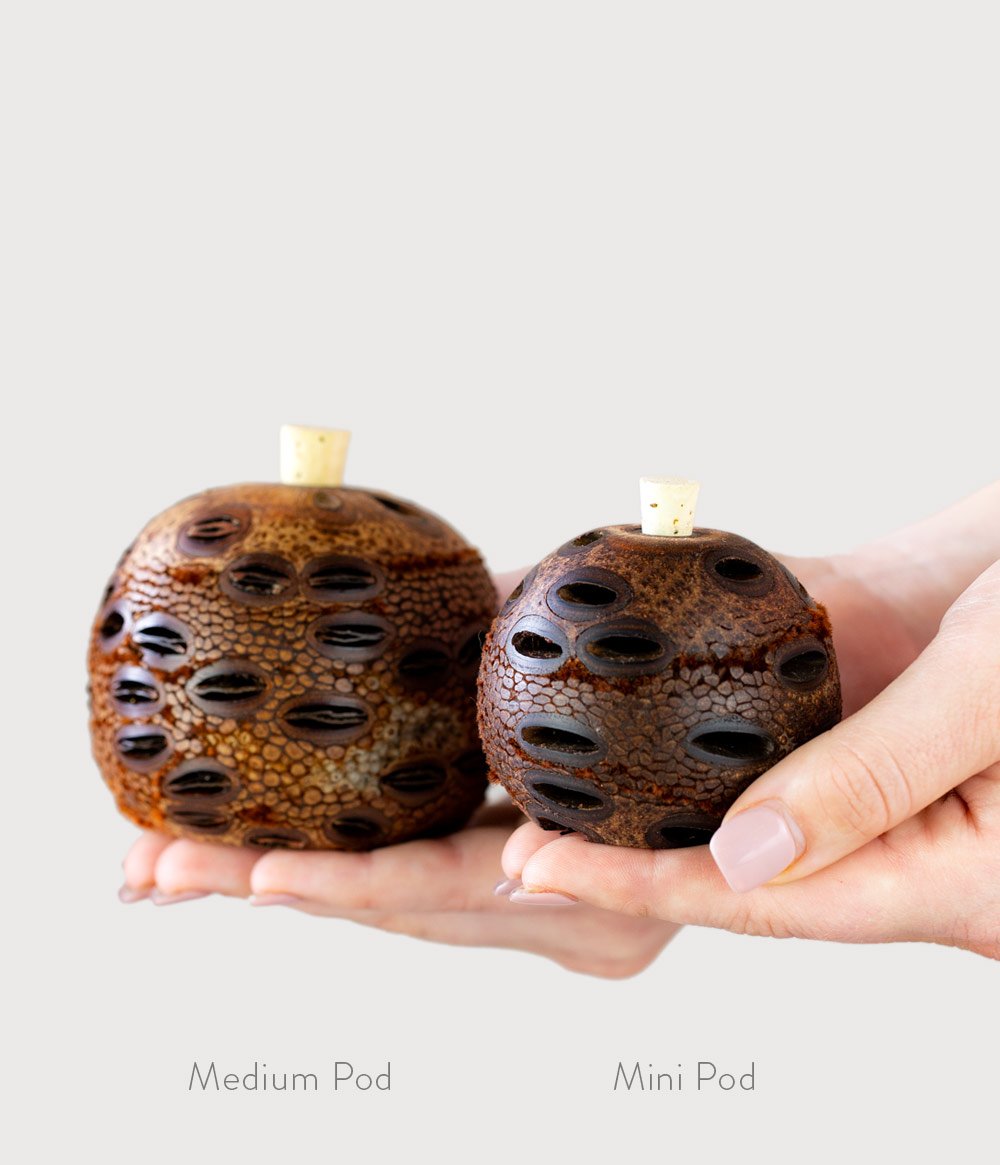 Mini Aroma Pod Diffuser