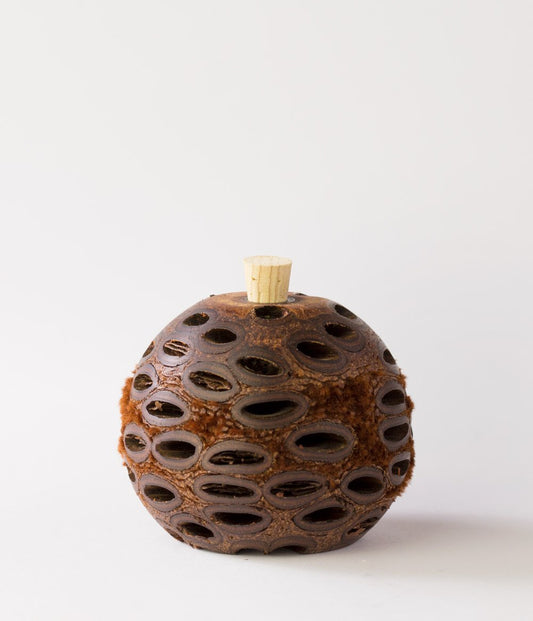 Mini Aroma Pod Diffuser
